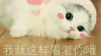 讲题:三王星的区别-KilaKila直播