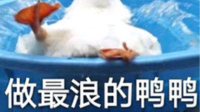 我看看哪个秃头女孩还不碎觉?!-KilaKila直播