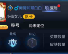 王者荣耀比赛