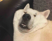 唠唠嗑。