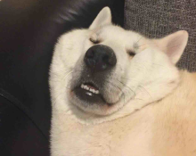 随便聊聊
