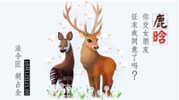 鹿晗,你交女朋友征求我同意了么?!-红豆Live直播