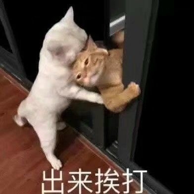 如琢的直播间-KilaKila直播