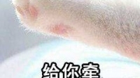 知名不搞笑博主的直播间-KilaKila直播