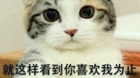 呦呦呦柚子柚子的直播间-KilaKila直播