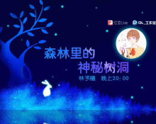周日晚的神秘树洞