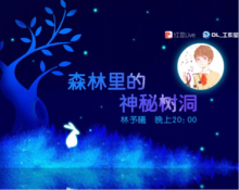 周日的树洞时间