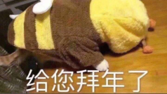 小小的闪现一波