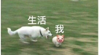 加溫嗎的直播间-KilaKila直播