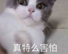 -岑先生-的语音直播间
