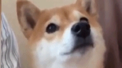 很迷
