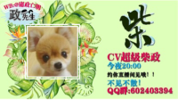 今晚八点与@CV擎苍 相约直播间,欢迎大家来玩!-KilaKila直播