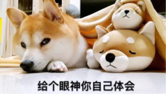 拒绝过今天这个节日