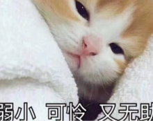 开学第一天
