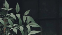 17&seventeen的直播间-KilaKila直播