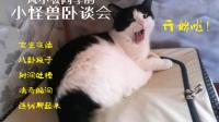 小怪兽卧谈会-KilaKila直播