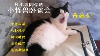 小怪兽卧谈会32-KilaKila直播