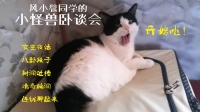 小怪兽卧谈会33:爱豆是天上的星星-KilaKila直播
