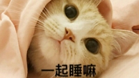 就是想开播-KilaKila直播