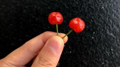 今天晚一点。