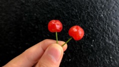 嗓子还在疼,今天还是放歌打卡,太晚了大家就先睡吧。