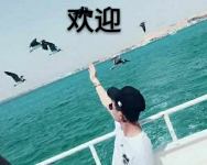 听说这是一个没人敢进来的直播间😏-红豆Live直播