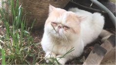 想上热门的一天🙁