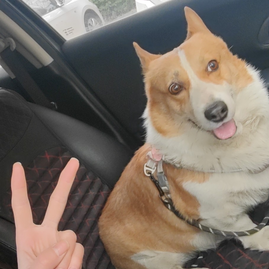 【云雨成烟直播】_在线观看_我不是主播_明星