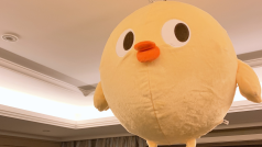 城中楼阁,几经风霜