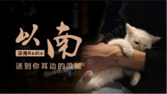 收留吃可爱长大的小可爱.