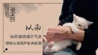 你是人间四月天.-KilaKila直播