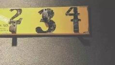 阳光超好,有点想念你们【🐱属性茶上线】