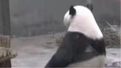被冷死的水