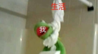 德艺双标艺术家的直播间-KilaKila直播