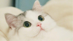 周末愉快❤️