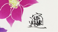 手机播。