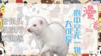 今天还是喜剧片-克拉克拉直播