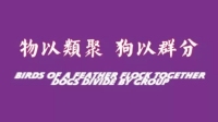 五格上车?老年迪斯科了解一下?-KilaKila直播
