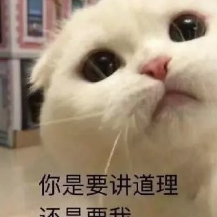 男的活的的直播间-KilaKila直播