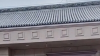 🤣-克拉克拉直播