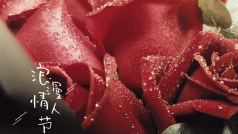 ❄️情人节🌹约你一起过💞