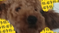 来吃鸡啊。-KilaKila直播