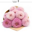 汤米清水520的直播间