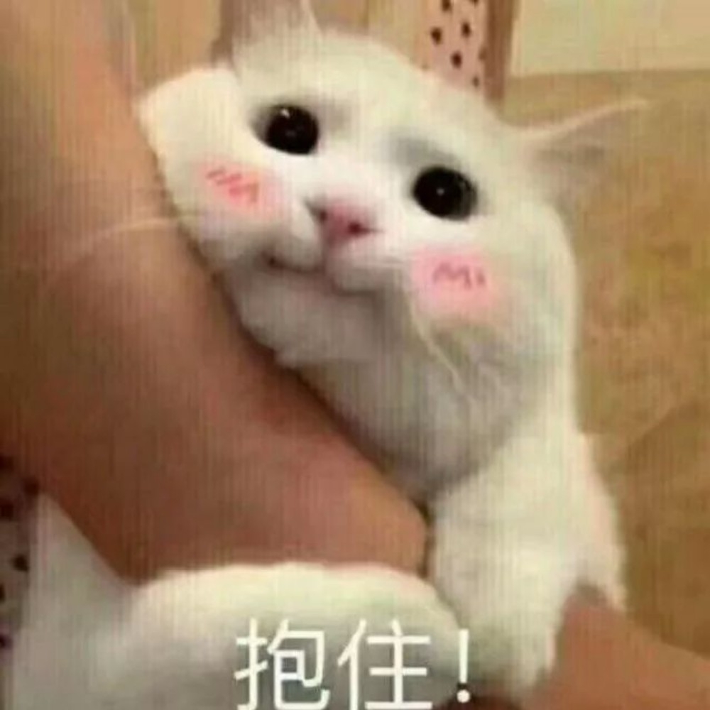 易烊千玺 我给你买牛奶? 林小可 哼! 易烊千玺 我送你回家?