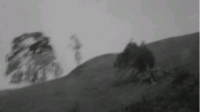 1-800-273-8255-KilaKila直播