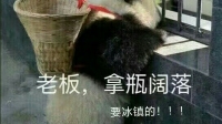 村东头的银烛烛的直播间-KilaKila直播
