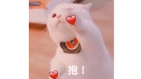 第五人格来一局??-KilaKila直播