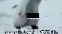 杂食盲女(腐的不行了)的直播间-KilaKila直播