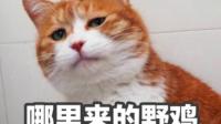 小说录制ing~-KilaKila直播