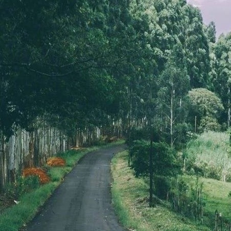 啦啦啦队长的直播间-KilaKila直播